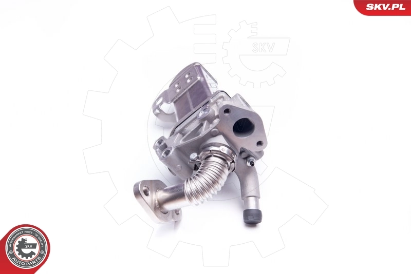 EGR Valve